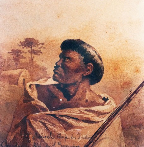 Cacique Pahai Kaiowa retratado por J. H. Elliot.
Imagem: Acervo Biblioteca Nacional - FOTO 2 - 