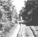Estrada  entre a então localidade Entre Rios aSanta Helena, em  1961.