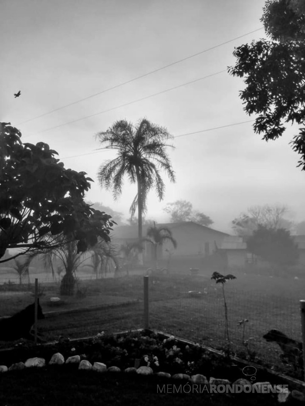 Neblina no amanhecer em Marechal Cândido Rondon no dia 16 de junho de 2021, na proriedade do casal Roselena Zimmermann e Semildo Laske.
Imagem: Acervo e crédito de Roselene Zimmermann Laske - FOTO 7 -