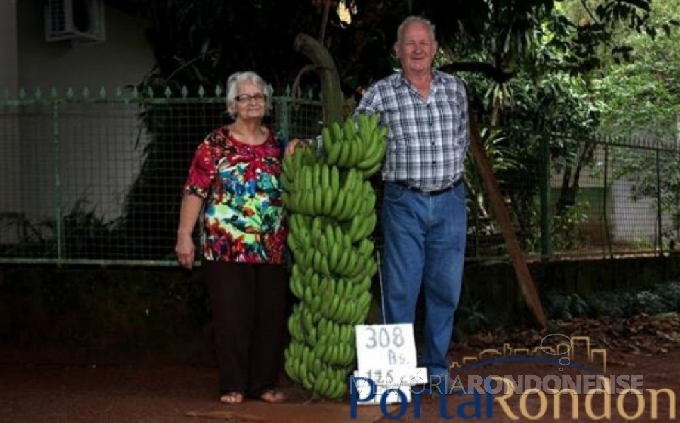 Casal Selma e Eugênio Antonio Walter com o super cacho de bananas. 
Imagem: Acervo Portal Rondon - FOTO 6 - 