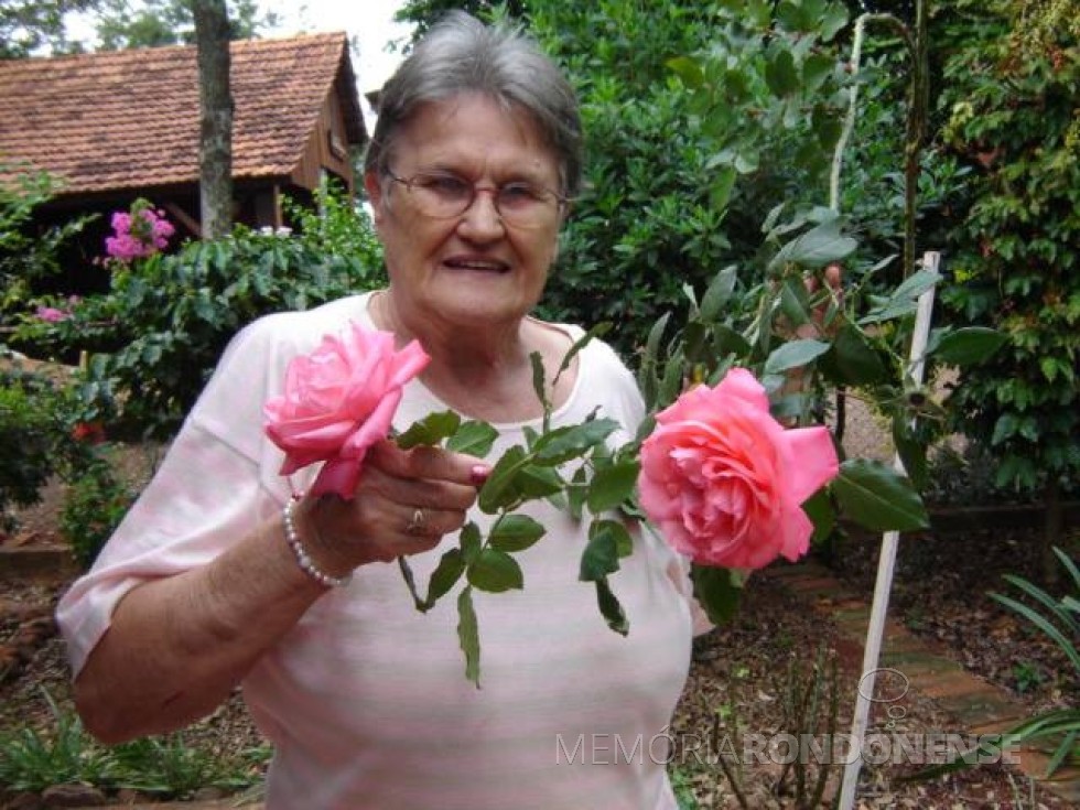 A pioneira Ursulina Augusta (nascida Londero) Ragazzan fotografada em seu jardim com o hobby que mais gostava: cultivar rosas, segundo seus familiares. 
Imagem: Acervo Dianete Maria Ragazzan - FOTO 4 - 