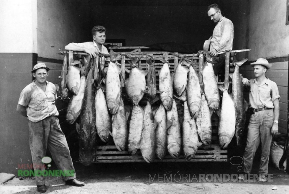 O pioneiro Edwino von Borstel, à esquerda, depois de um dia de pesca no Rio Paraná, no final da década de 1950. 
Ainda na foto, da esquerda a direita: Ercy Sturm, Norberto Rieger e Alberto Hass, funcionário da Casa Rieger. 
Imagem: Acervo Memória Rondonense  - FOTO 3 - 